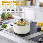 Cook N Home Non Stick Stock Pot with Lid, Large Pots for Cooking